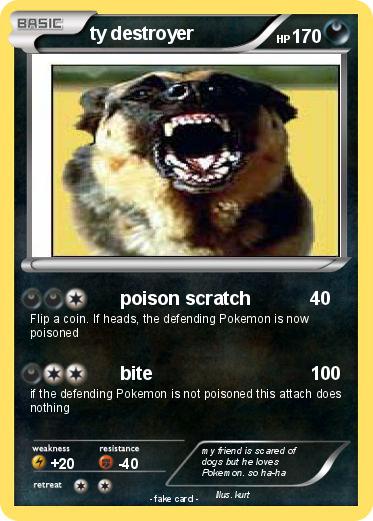 Pokemon ty destroyer