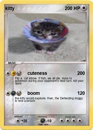 Pokemon kitty