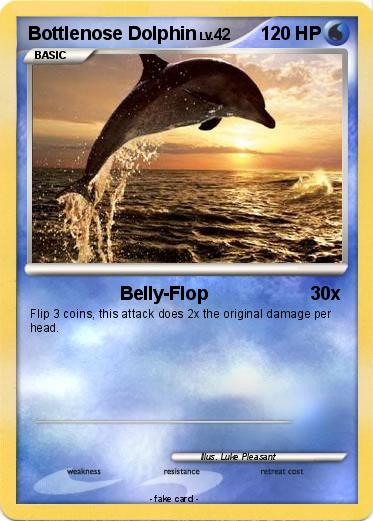 Pokemon Bottlenose Dolphin