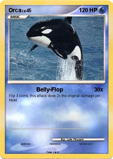 Pokemon Orca