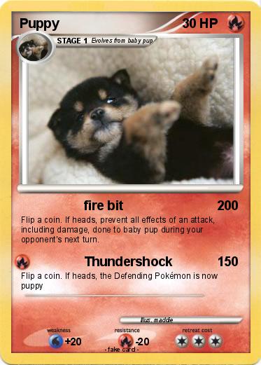 Pokemon Puppy