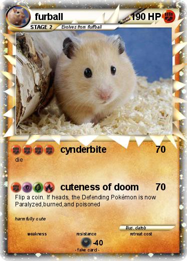Pokemon furball