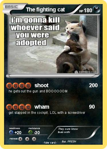 Pokemon The fighting cat