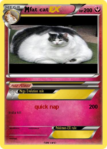 Pokemon fat cat