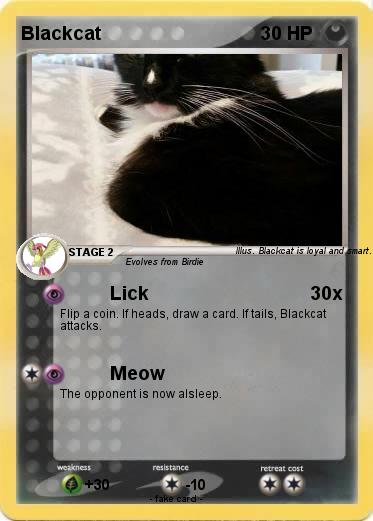 Pokemon Blackcat