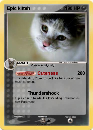 Pokemon Epic kitteh