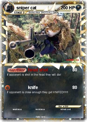Pokemon sniper cat