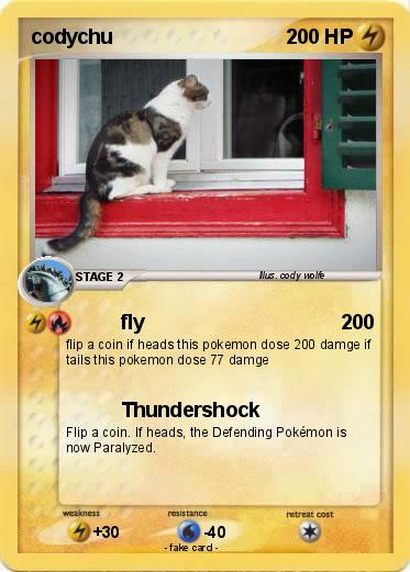 Pokemon codychu