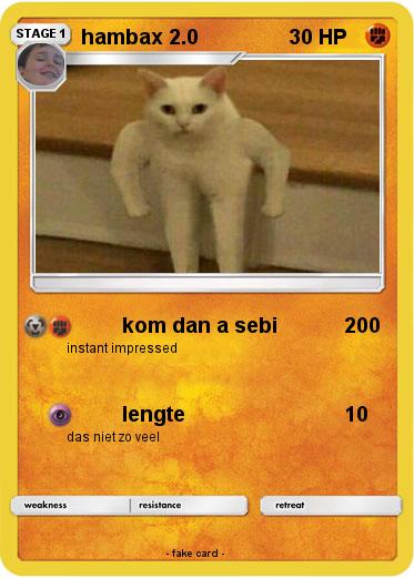 Pokemon hambax 2.0