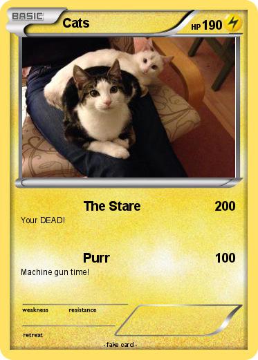 Pokemon Cats