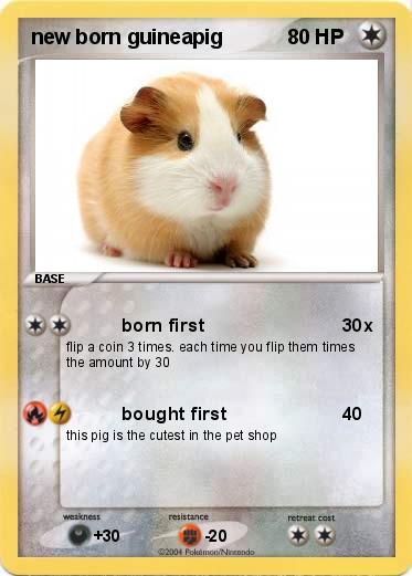 Pokemon new born guineapig