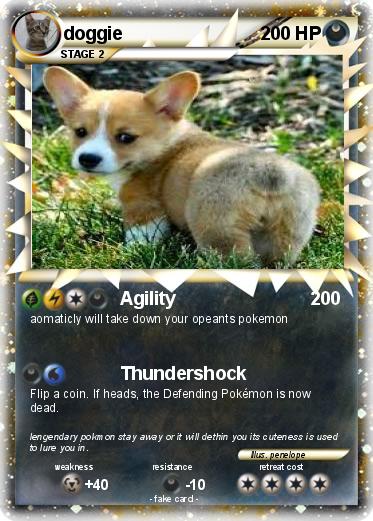 Pokemon doggie