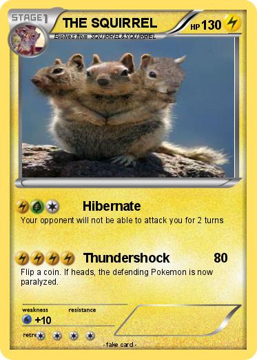 Pokemon THE SQUIRREL