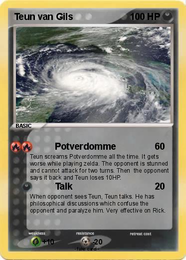 Pokemon Teun van Gils