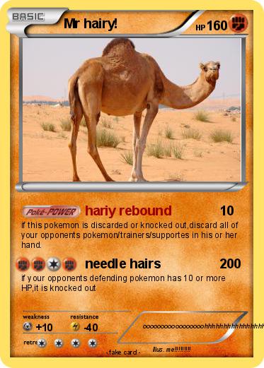 Pokemon Mr hairy!
