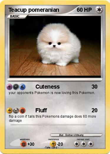Pokemon Teacup pomeranian