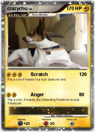 Pokemon crazychu