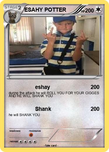 Pokemon ESAHY POTTER