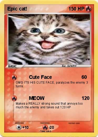 Pokemon Epic cat!