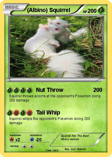 Pokemon (Albino) Squirrel