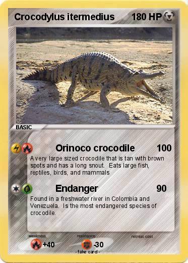 Pokemon Crocodylus itermedius