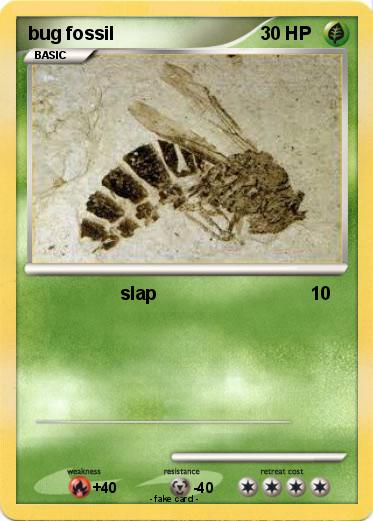 Pokemon bug fossil