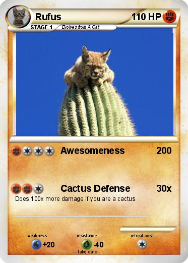 Pokemon Rufus