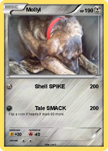 Pokemon Mollyl