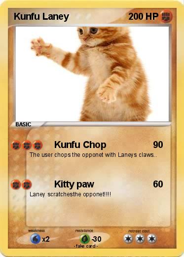 Pokemon Kunfu Laney