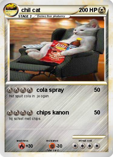 Pokemon chil cat
