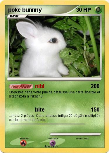Pokemon poke bunnny