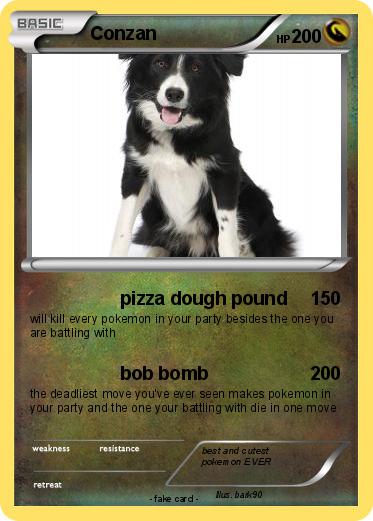 Pokemon Conzan