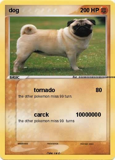 Pokemon dog