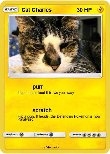 Pokemon Cat Charles