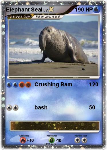 Pokemon Elephant Seal