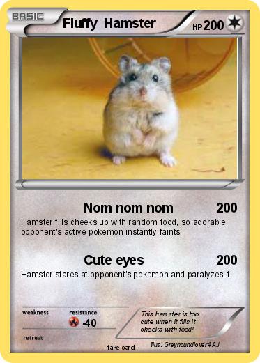 Pokemon Fluffy  Hamster