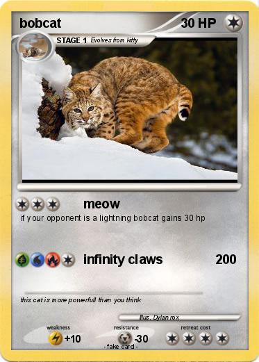 Pokemon bobcat