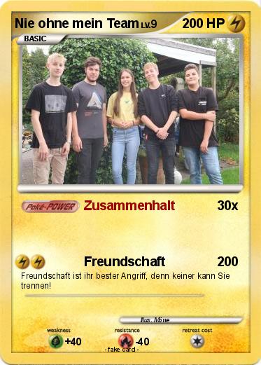 Pokemon Nie ohne mein Team