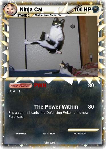 Pokemon Ninja Cat