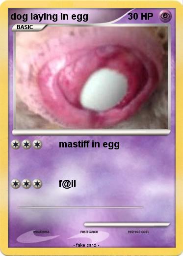 Pokemon dog laying in egg