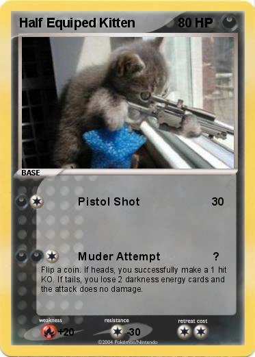 Pokemon Half Equiped Kitten