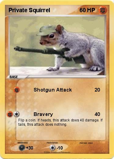 Pokemon Private Squirrel