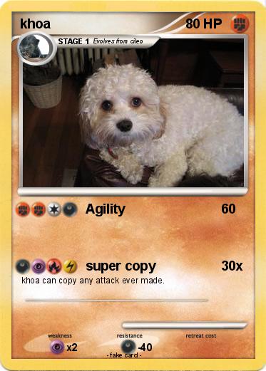Pokemon khoa