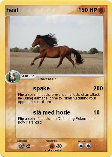 Pokemon hest