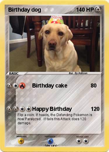 Pokemon Birthday dog