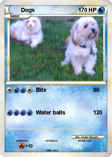 Pokemon Dogs