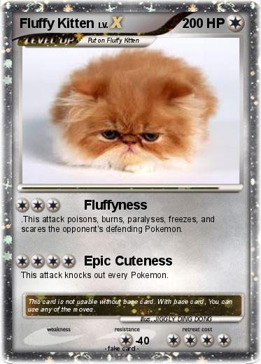 Pokemon Fluffy Kitten