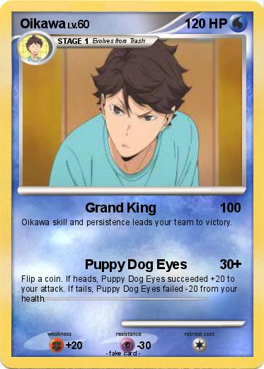 Pokemon Oikawa