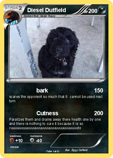 Pokemon Diesel Dutfield