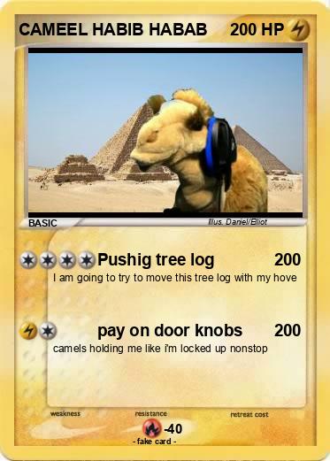 Pokemon CAMEEL HABIB HABAB